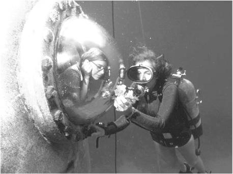 Task 2 In the following interview with Sylvia Earle, one of the world's best known marine scientists, some questions have been removed.