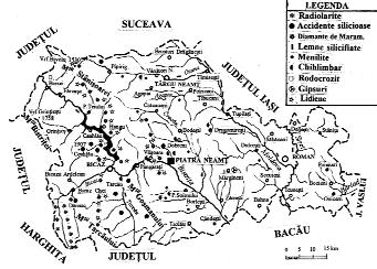 Figura 1 Schiþa resurselor ºi