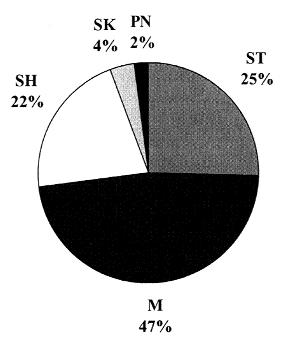 98 2. diagram A funkcionális csoportok szerinti