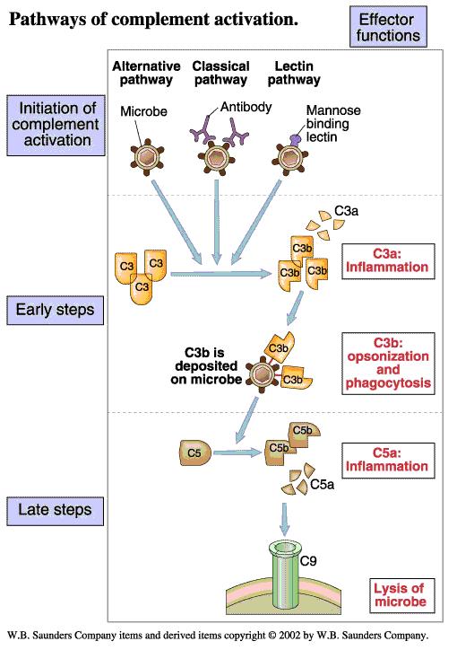 Nature Reviews Neuroscience 9,