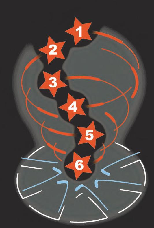 6 LÉPÉS A