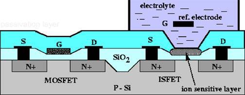 Az ion-szelektív térvezérelt tranzisztor-isfet működése Egységnyi ph változás