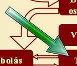 Minősítés tollfosztás belezés epilálás bőreltávolítás tejszűrés Darabolás