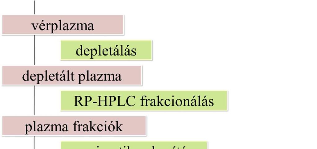 12. ábra A helyspecifikus glikozilációs mintázatok meghatározására alkalmazott módszer.