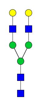 4. táblázat Azonosított glikánok szerkezete. Az ábrák a GlycoWorkbench 2 szoftverrel készültek.