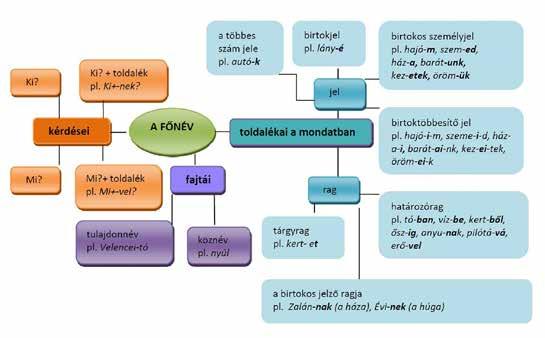 A melléknév A melléknév élőlények, élettelen dolgok, jelenségek külső és belső tulajdonságát (pl.