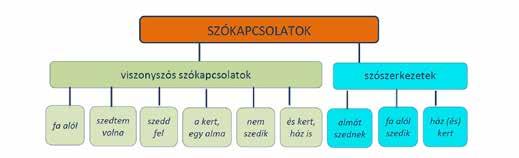 Szószerkezetek Szószerkezetnek nevezzük azokat a szókapcsolatokat, amelyek legalább két alapszófajú szóból, azaz főnévből, melléknévből, számnévből, határozószóból, névmásból, igéből, igenévből