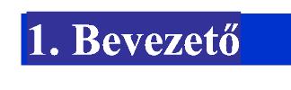 1. Bevezető Gazdálkodási körülmények: Az előző évhez képest a gazdálkodás külső körülményei lényegesen nem változtak. A gazdaság továbbra is stagnáló, a IV. n. évtől indult meg a növekedés, azonban a válságból való kilábalásról még nem lehet beszélni.