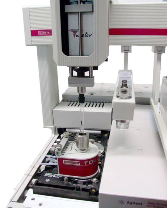 3.6. A mintabevitel A kísérleteket Agilent 6890 GC, 5973 performance electronics inert MS rendszeren végeztem.