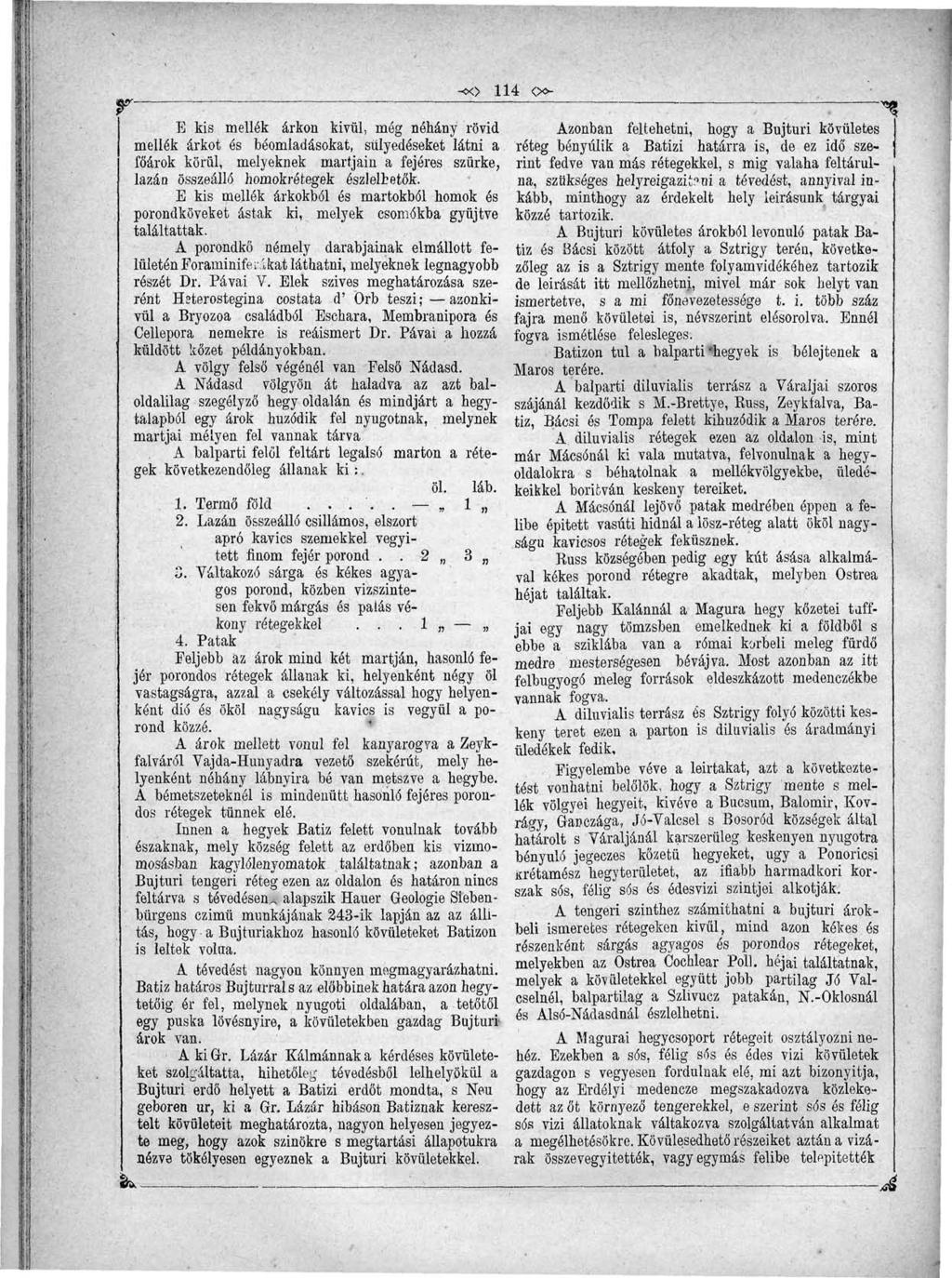 y- -«> 114 <>c- E kis mellék árkon kivül, még néhány rövid mellék árkot és béomladásokat, sülyedéseket látni a fó'árok körül, melyeknek martjain a fejéres szürke, lazán összeálló homokrétegek