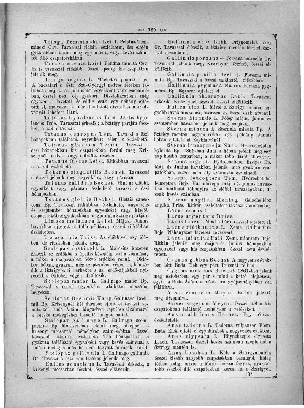 «.> 135 <» Tringa Temminckii Leisl. Pelidna Temmineki Cuv. Tavasszal ritkán észlelhetni, ősz elején gyakrabban fordul meg egyenként, vagy kevés számból álló esapatocskában. Tringa minuta Leisl.