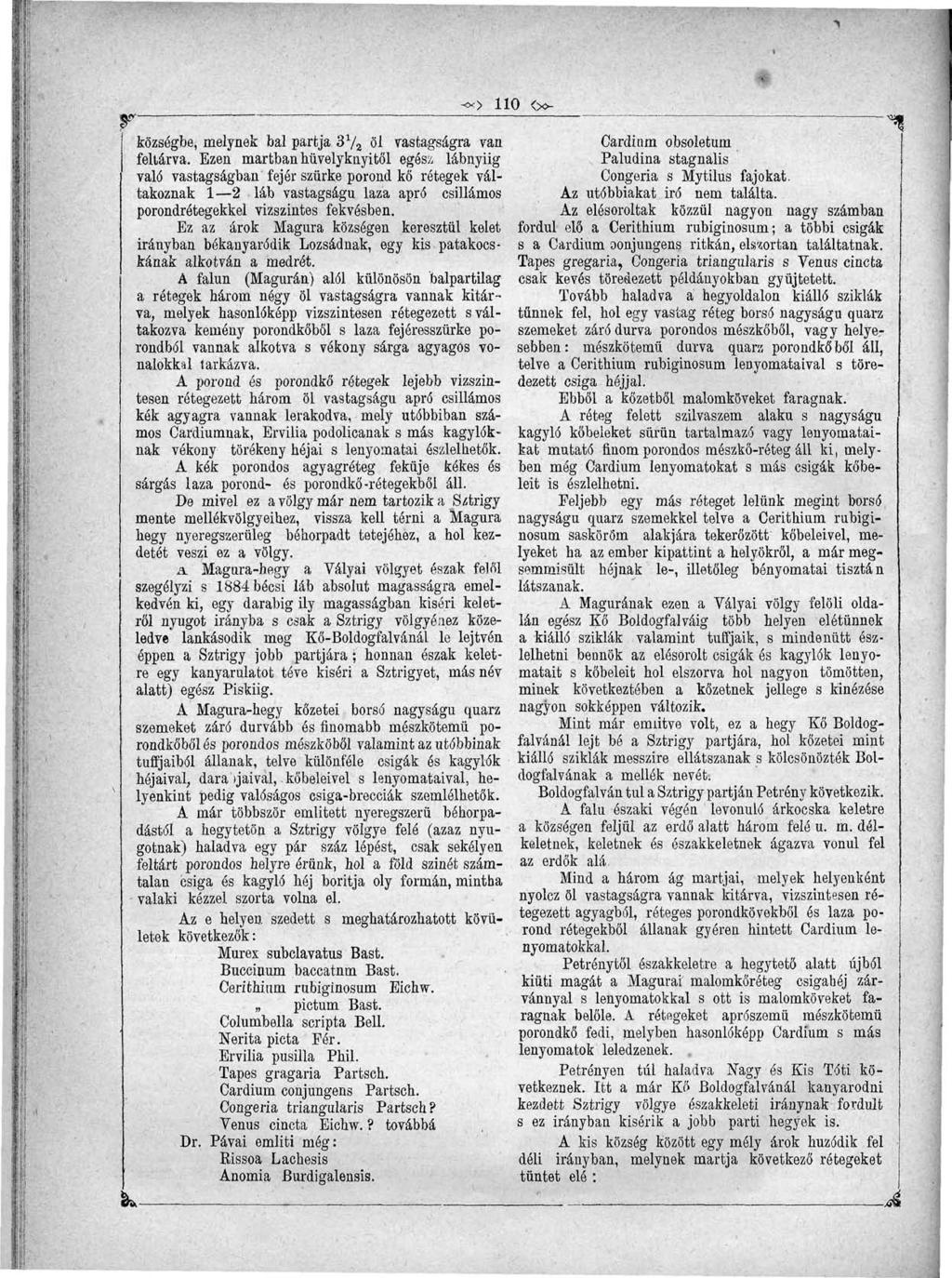 *x> 110 <>v községibe, melynek bal partja 3 x / 2 öl vastagságra vaa feltárva.