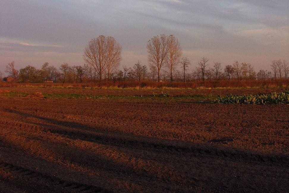 Hidrológiai koordinációs és állapotértékelési Szakágazat és az