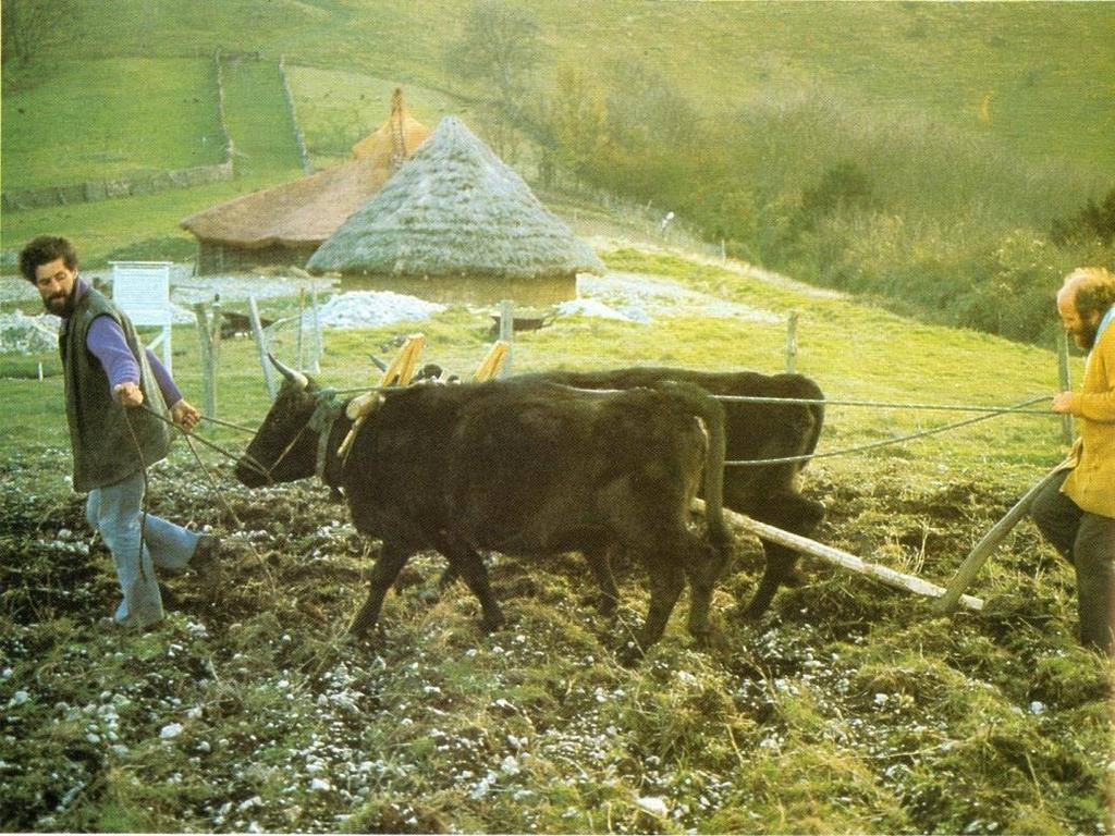 Farm