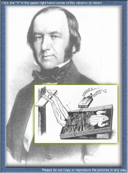Claude Bernard (1813-1878) Magendie tanítványa volt. Kiváló fiziológus.