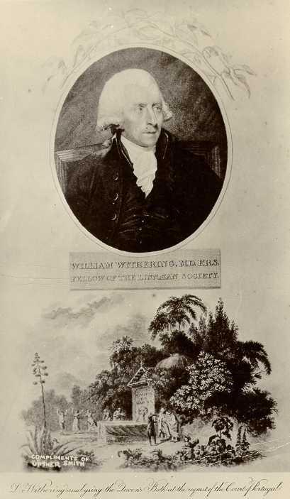 William Withering (1741-1799) Felfedezte a gyűszűvirág