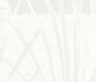i idő csökkenés 30% 6 1 óra alatt száritás Akár 6kg ruhanemű a 1 óra alatt A mosóhatással. Nagyobb mennyiségű ruhanemű át teszi lehetővé.
