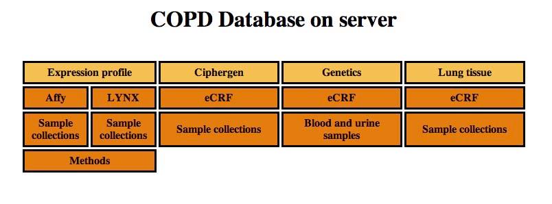 Biobank projektek 1. Pfizer Inc. - Debreceni Egyetem COPD Biobank - Tüdőklinika, Dr. Csánky Eszter FFPE immunhisztokémia - Patológiai Intézet, Dr.