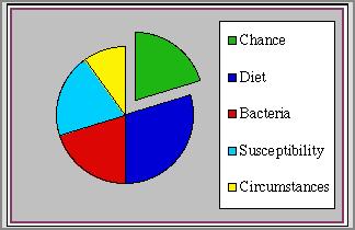 Cariogram Chance ( lehetőség) az új karieszek kivédésének lehetősége, valószínűsége a jövőben Diet (étrend) nem csak az étkezések gyakorisága, de a tartalma is Bacteria (baktériumok) a plakk