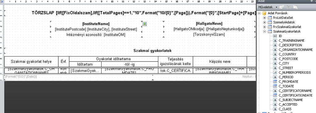 9.5.10. Törzslap10 Szakmai gyakorlatok megjelenítésére használható.