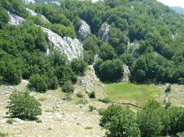kép A Jeges-barlang bejáratát rejtő sziklás töbör Picture