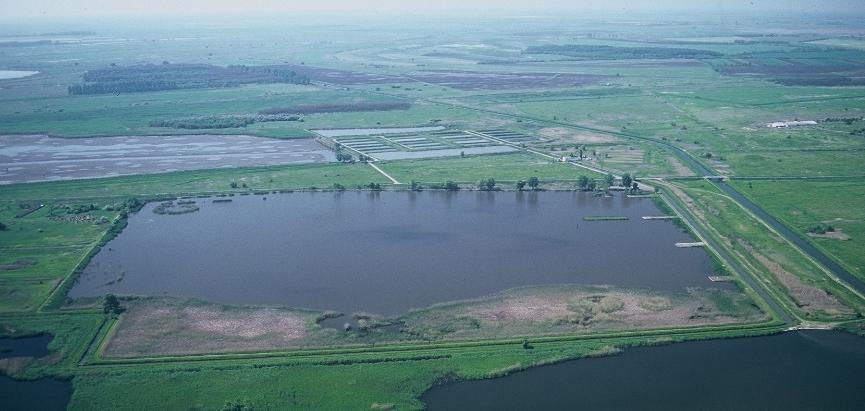 Halas tavak R D S: 21.9 R: 36.7 D: 41.3 β DIVERZITÁS: 78.1 EGYMÁSBA ÁGYAZOTTSÁG: 58.7 S A β diverzitást inkább a fajszám különbségek határozzák meg.