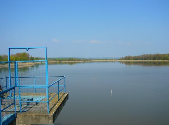 R Tározók D S: 23.8 R: 44.7 D: 31.5 S A β diverzitás nagyobb értékét a fajkicserélődés okozza.