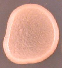 3 mm 4 mm mm mm mm mm mm mm mm 0,1 0,1 10