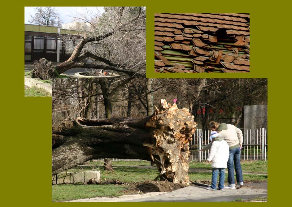 Jellemző képek a vihart követően (Békásmegyer, 2008. március 2.) Összefoglalás: Az Emma nevű vihar a téli félévben Európában is megjelenő viharciklonok egyik jellegzetes példája volt.