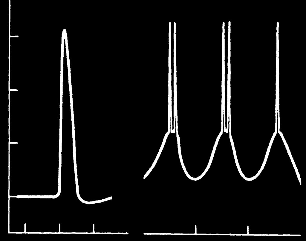 3. A simaizom akciós potenciál, lassú AP 0 Nyugalmi membránpotenciál: mv mv -20 (ha van) -50 és -60 mv 0-40 Időtartam: leglassabb: 50-300 ms -25-50 0 0.1 0.2 0.3 0.
