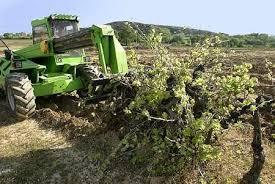 TELEPÍTÉS ENGEDÉLYEZÉS VÁRHATÓ SZABÁLYAI - 2017 2.