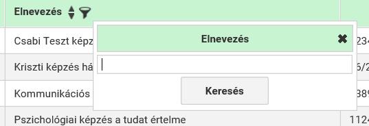 Beviteli elemek A beviteli elemek közé tartoznak a szövegmezők, a dátumválasztók, a numerikus mezők, a legördülő listák, az egyéb lista elemek és funkció gombok.