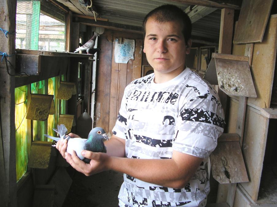XVII. évfolyam 14. szám 2009.