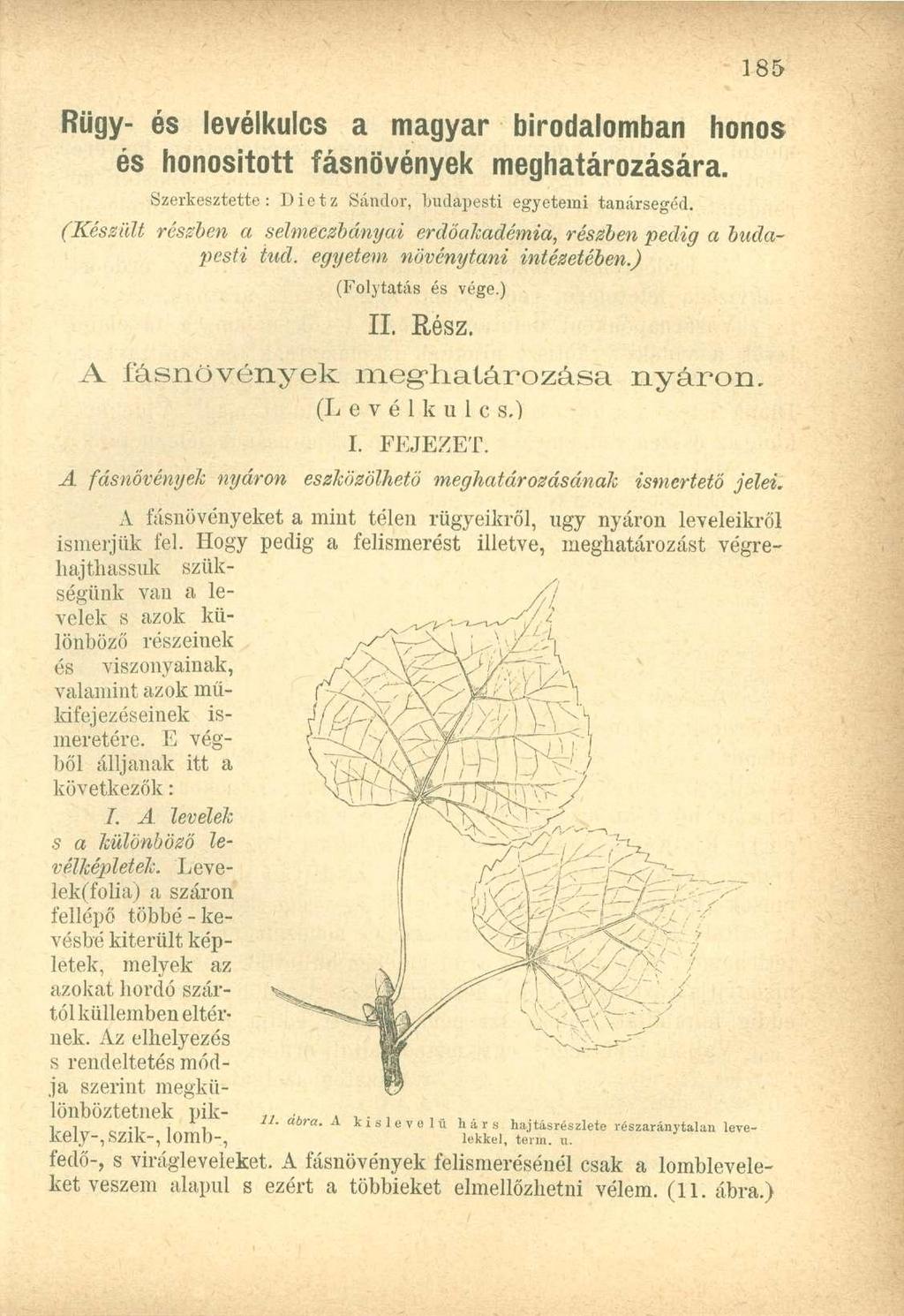 Rügy- és levélkulcs a magyar birodalomban honos és honositott fásnövények meghatározására. Szerkesztette: Diet z Sándor, budapest i egyetem i tanársegéd.
