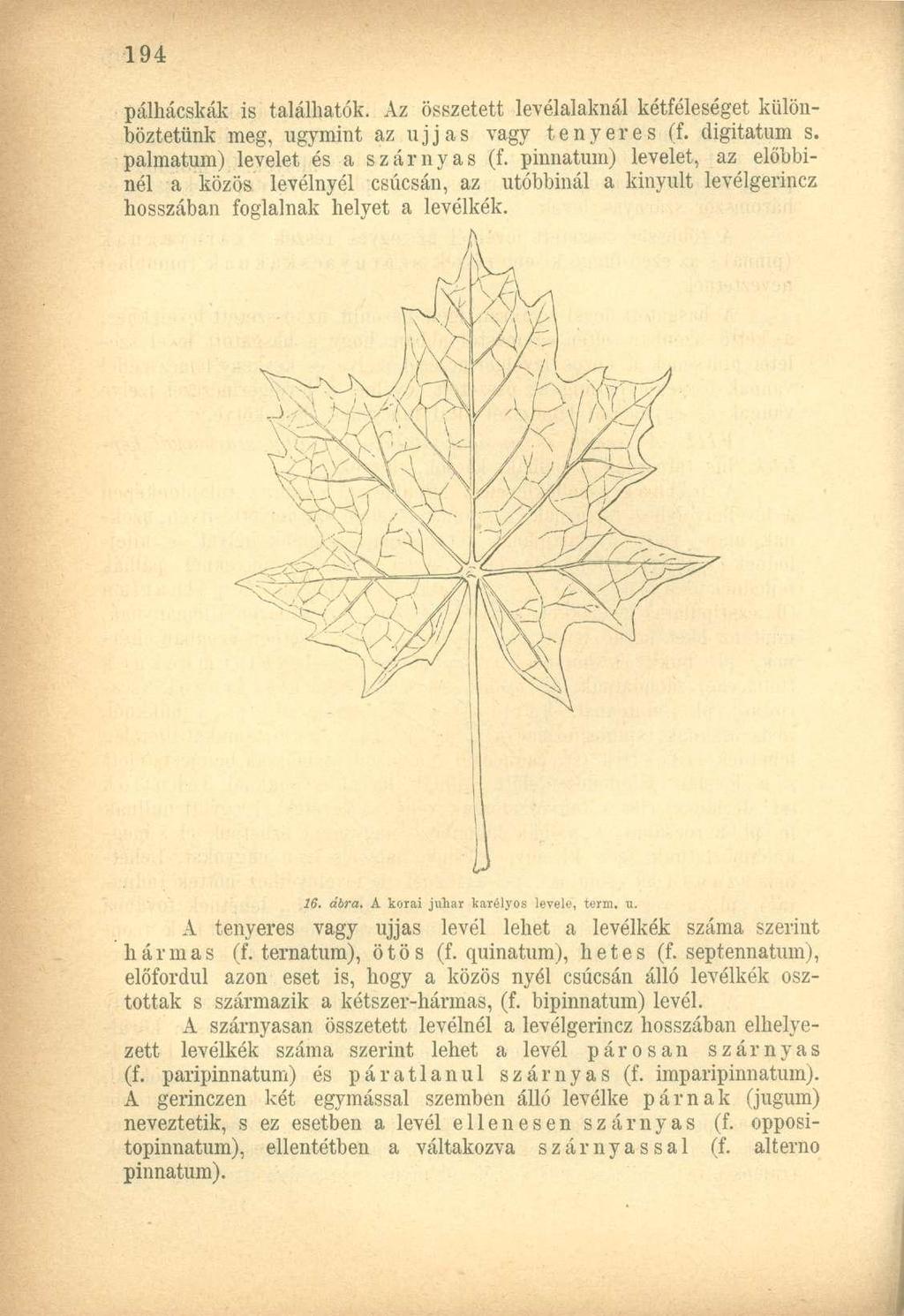 pálhácskáli is találhatók. Az összetett levélalaknál kétféleséget különböztetünk meg, úgymint az ujjas vagy tenyeres (f. digitatum s. palmatum) levelet és a szárnyas (f.