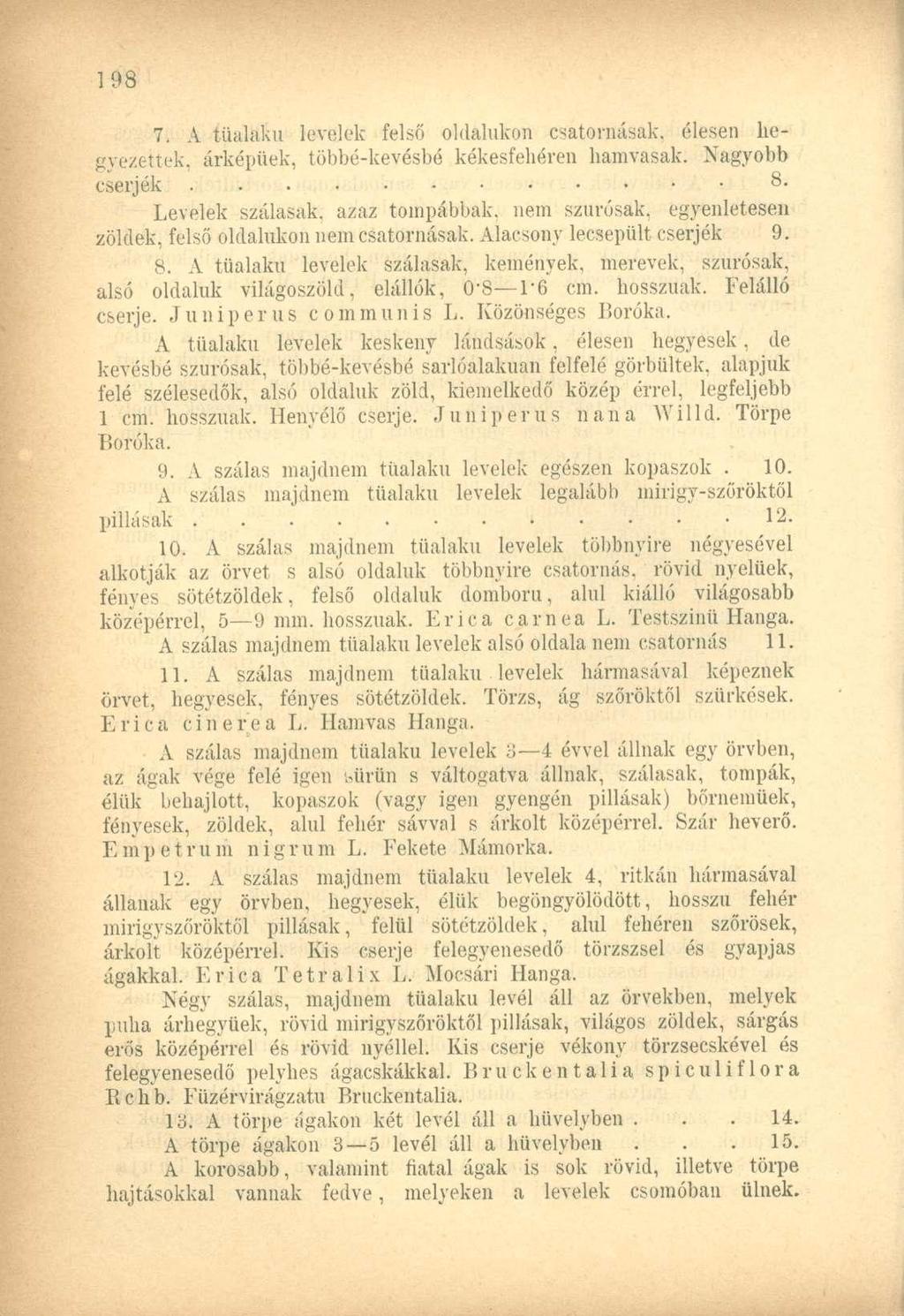 7. A tűalaku levelek felső oldalukon csatornásak, élesen hegyezettek, árképüek, többé-kevésbé kékesfehéren hamvasak. Nagyobb cserjék..... 8.