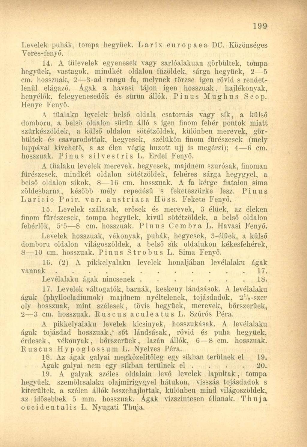 Levelek puhák, tompa hegyűek. Larix europaea DC. Közönséges Veres-fenyő. 14.
