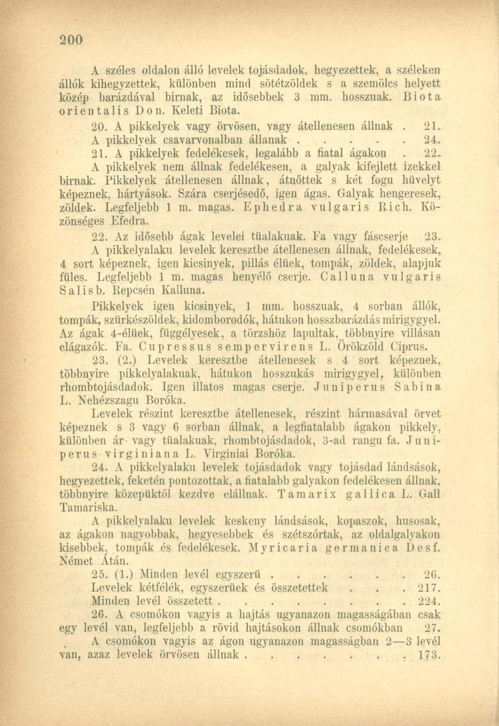 A széles oldalon álló levelek tojásdadok, hegyezettek, a széleken állók kihegyzettek, különben mind sötétzöldek s a szemöles helyett közép barázdával birnak, az idősebbek 3 mm. hosszúak.