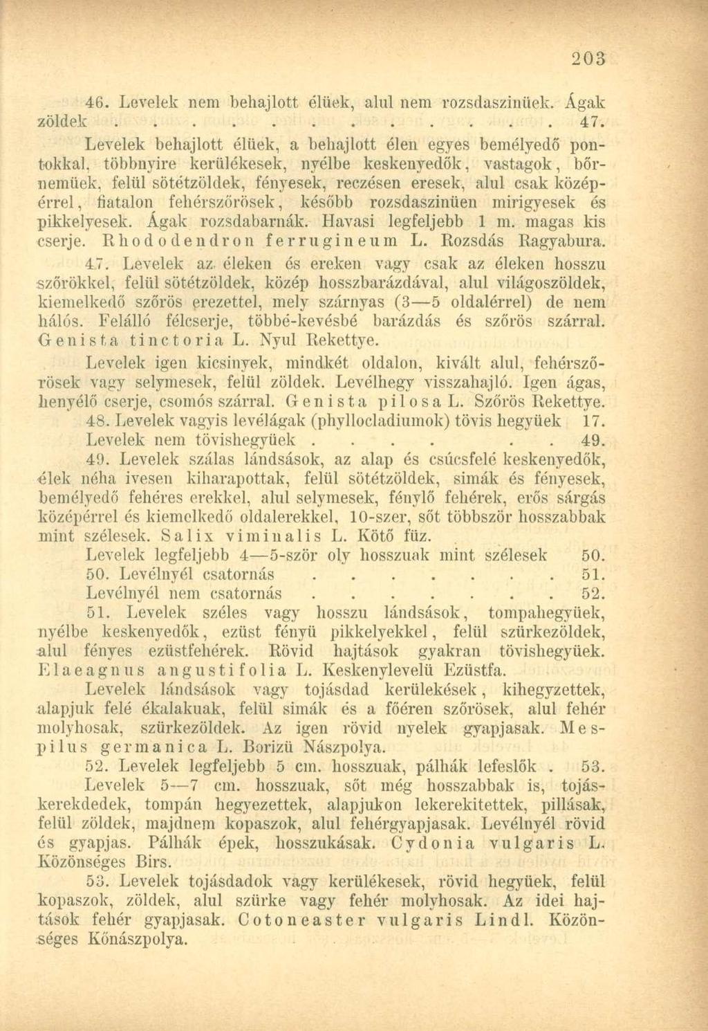 46. Levelek nem behajlott élüek, alul nem rozsdaszinüek. Ágak zöldek..... 47.