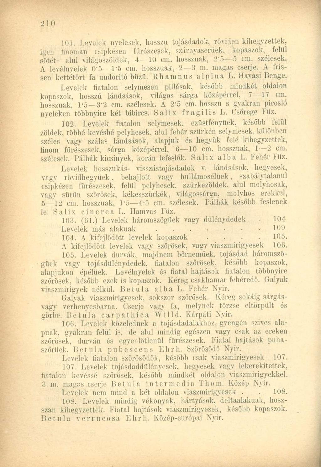 101. Levelek nyelesek, hosszú tojásdadok, röviden kihegyzettek, igen finoman oipkésen fürészesek, szárnyaserüek, kopaszok, felül sötét- alul világoszöldek, 4 10 cm. hossznak, 2'5 5 cm. szélesek.