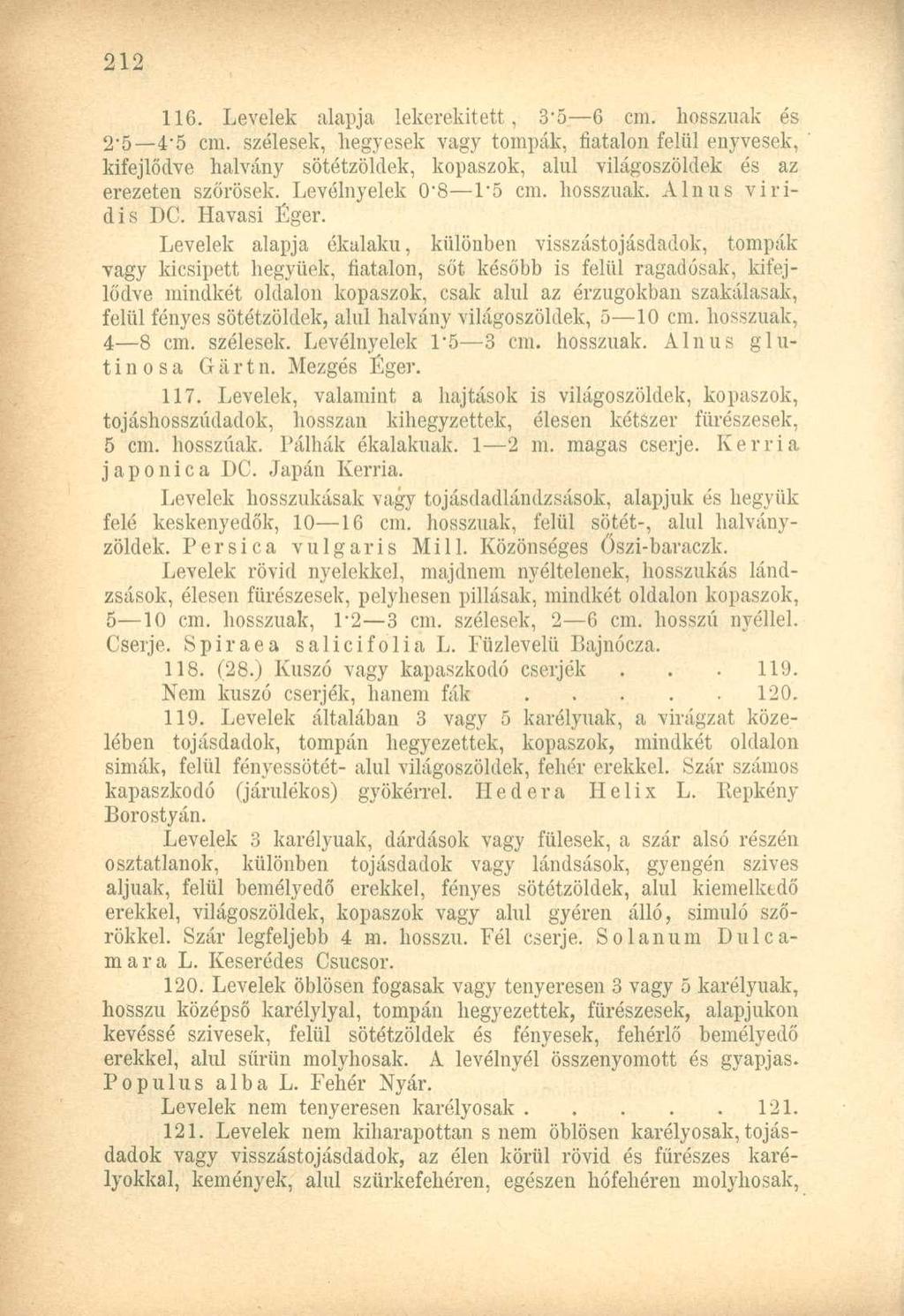 116. Levelek alapja lekerekített, 3*5 6 cm. hosszúak és 2'5 4-5 cm.