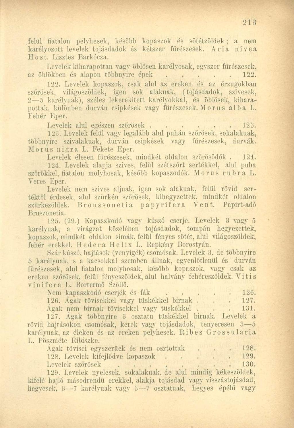 felül fiatalon pelyhesek, később kopaszok és sötétzöldek; a nem karélyozott levelek tojásdadok és kétszer fürészesek. Aria nivea Hőst. Lisztes Barkócza.