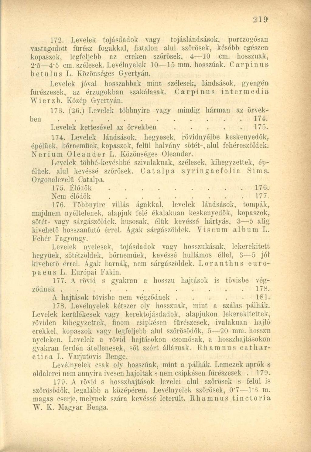 172. Levelek tojásdadok vagy tojáslándsások, porczogósan vastagodott fürész fogakkal, fiatalon alul szőrösek, később egészen kopaszok, legfeljebb az ereken szőrösek, 4 10 cm. hosszúak, 2"5 4-5 cm.