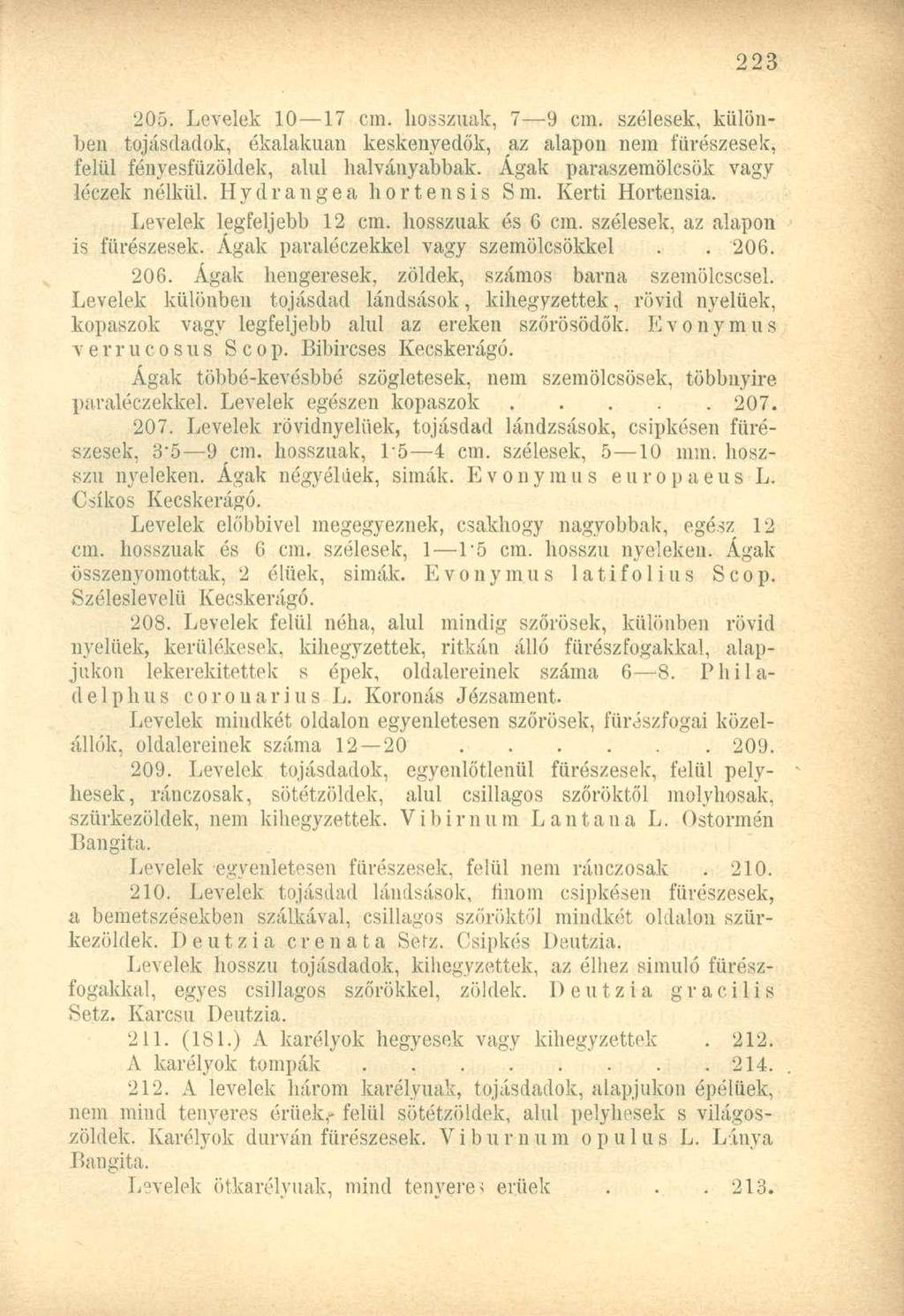 205. Levelek 10 17 cm. hosszúak, 7 9 cm. szélesek, különben tojásdadok, ékalakuan keskenyedők, az alapon nem fürészesek, felül fényesfüzöldek, alul halványabbak.