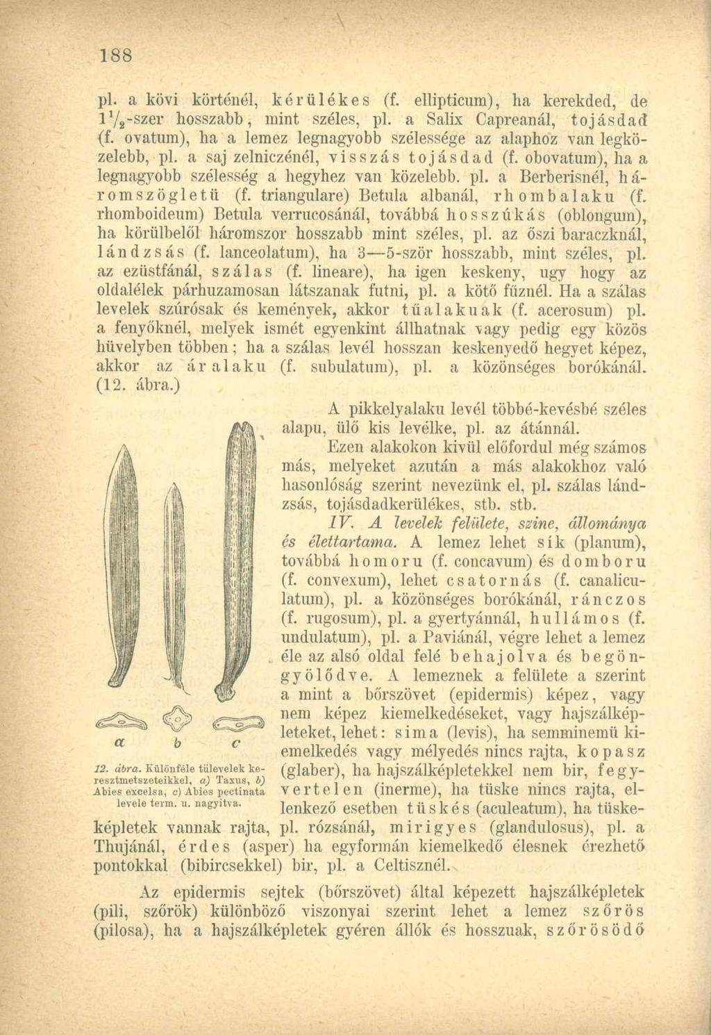 pl. a kövi körténél, kérülékes (f. ellipticum), ha kerekded, de 1 Visszér hosszabb, mint széles, pl. a Salix Capreanál, tojásdad (f.