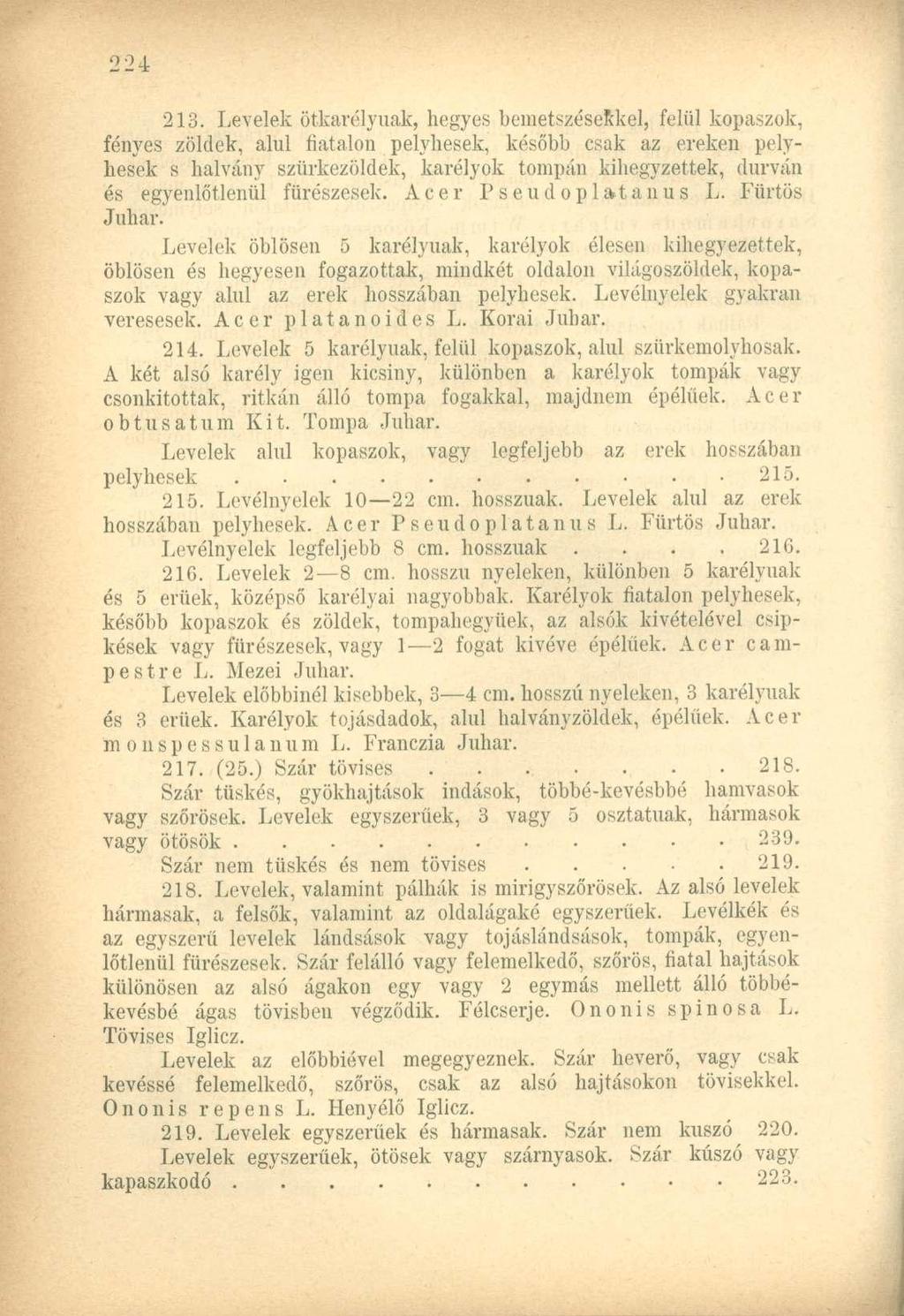 213. Levelek ötkarélyuak, hegyes beinetszéseskel, felül kopaszok, fényes zöldek, alul fiatalon pelyhesek, később csak az ereken pelyhesek s halvány szürkezöldek, karélyok tompán kihegyzettek, durván