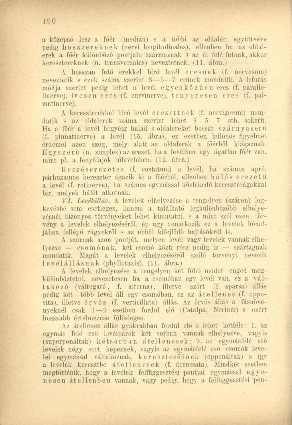 a középső lesz a főév (médián) s a többi az oldalér, együttvéve pedig hosszereknek (nervi longitudinales), ellenben ha az oldalerek a főér különböző pontjain származnak s az él felé futnak, akkor