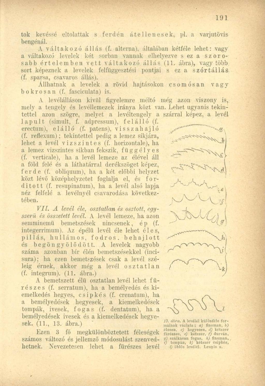 tok kevéssé eltolattak s ferdén átellenesek, pl. a varjútövis bengénál. A váltakozó állás (f.