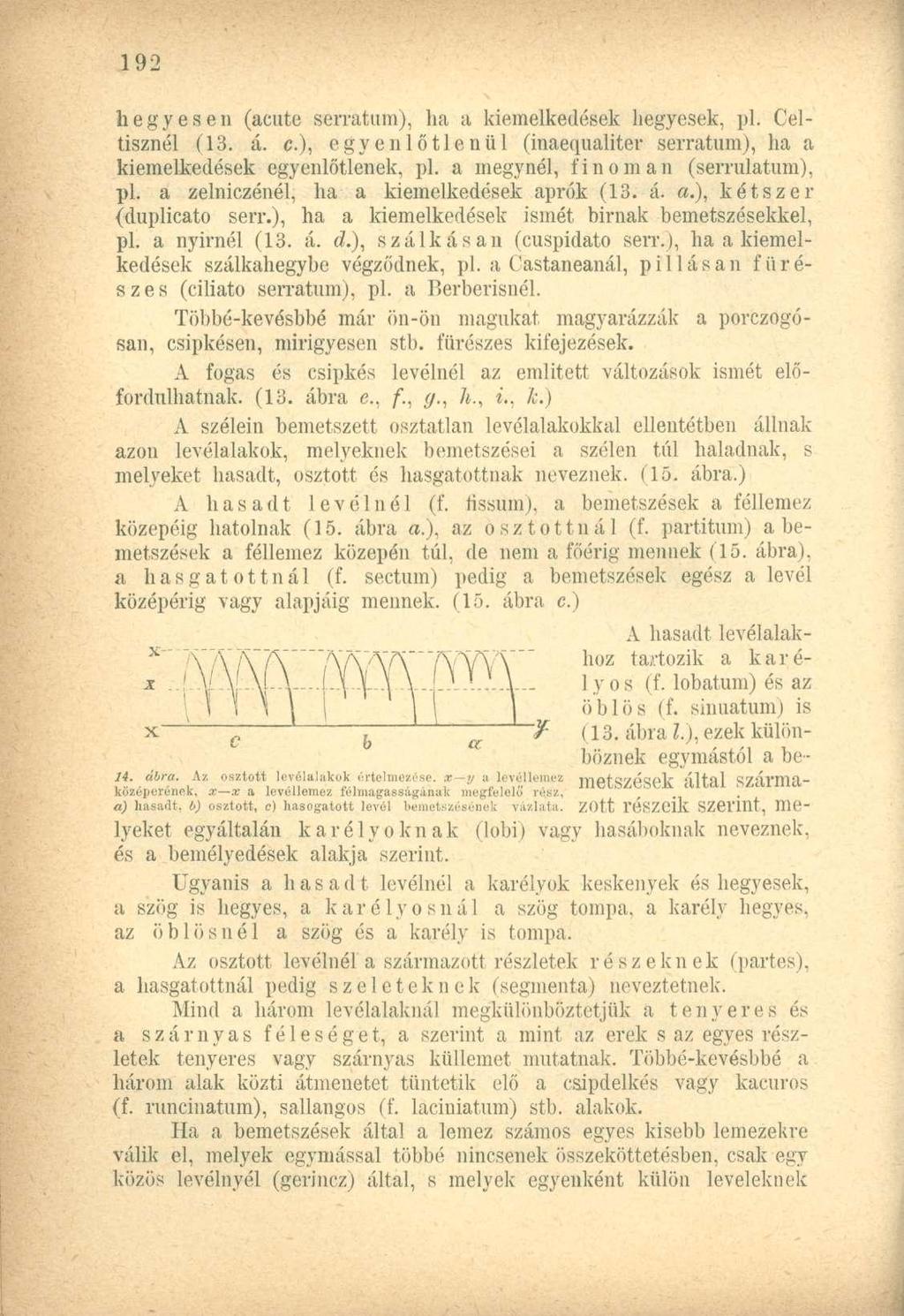 hegyesen (acute serratum), ha a kiemelkedések hegyesek, pl. Celtisznél (13. á. c), egyenlőtlenül (inaequaliter serratum), ha a kiemelkedések egyenlőtlenek, pl. a megynél, finoman (serrulatum), pl.