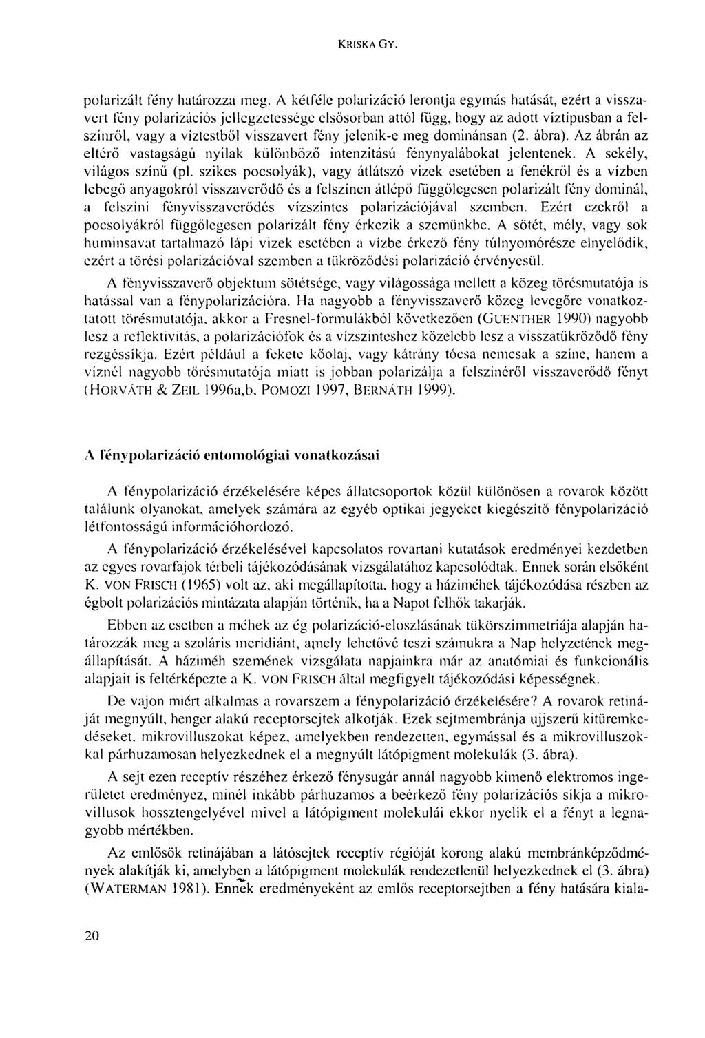 KRISKA GY. polarizált fény határozza meg.
